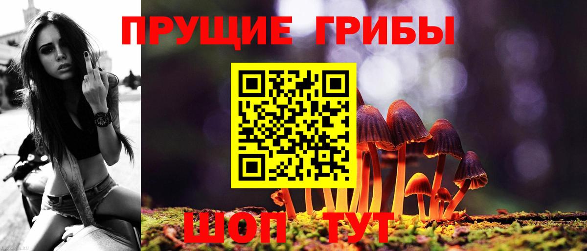 Галлюциногенные грибы мицелий Курчатов