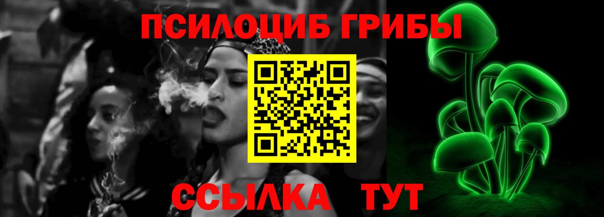 наркотики  Псилоцибиновые грибы мицелий  Вход с VPN  Курчатов  Псилоцибиновые грибы прущие грибы 